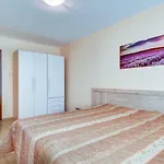 Apartament Dreambg In Panorama Vigo